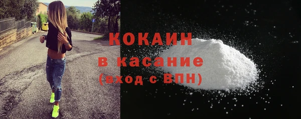 ешки Арсеньев