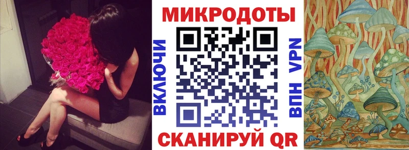 Псилоцибиновые грибы Psilocybe Калязин